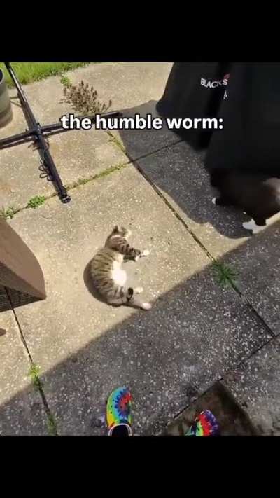 If only I had something to bait my hook with