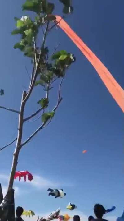 Kid takes to the sky during Taiwan kite festival
