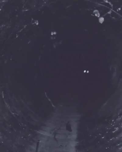 So innocent, yet scary