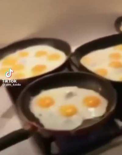 so mnay eggs?!?!?!?!????! 😳😳😳😳🤔🤔🤔😱🤔😳🤔😱😍🤔🤔😳