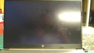 I was just trying to write my essay...