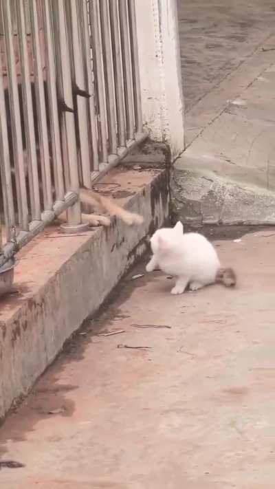 Will the violence ever stop??