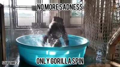 Your daily dose of wholesome