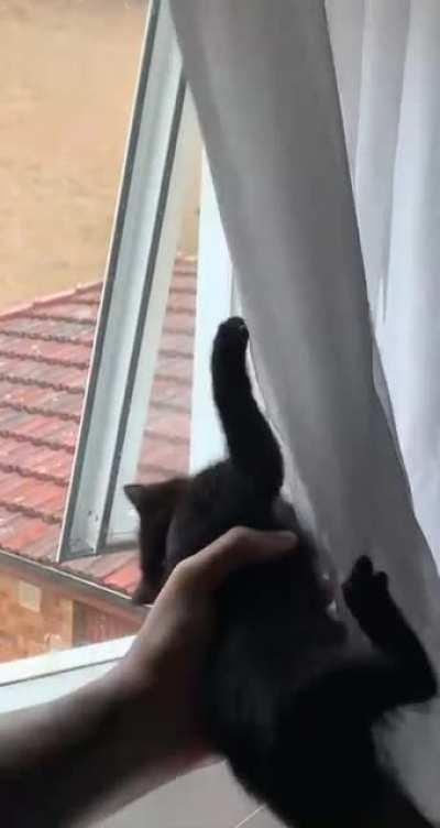 Leia teaching her sister Kira how to be naughty