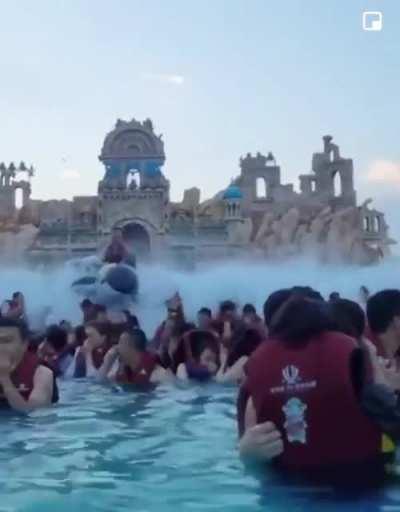 Good luck to the rest of you! I have a killer whale.