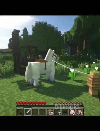 Guy 360° no scopes his pet horse