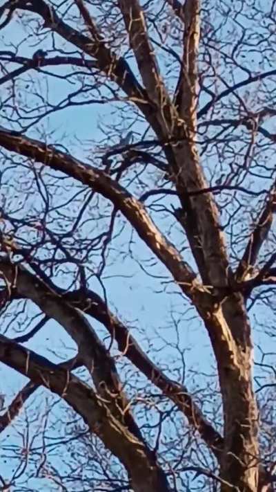 Atlas Air Boeing 747-8, VENUS03. Heading to Joint Base Andrews from Wright Patterson AFB. This particular 747-8 is helping train the 89th Airlift Wing.