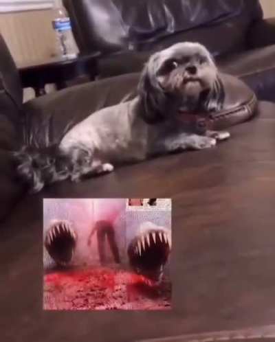 sexy peter distracting the guards?