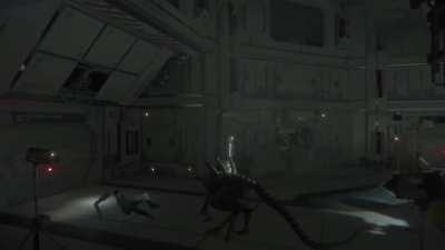 The Funniest thing I've seen in the game so far