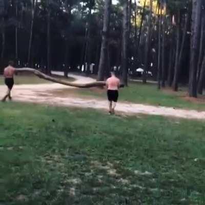 Running into a tree with a tree