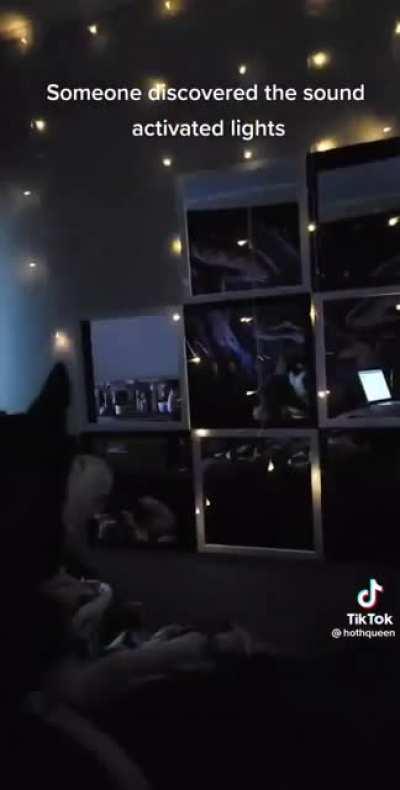 And dog said, “let there be light” and there was light