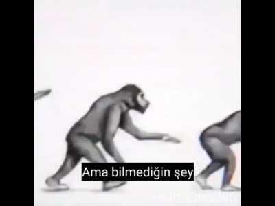 Evrimi bitiren video.mp3