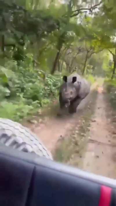 Average day in Chitwan.