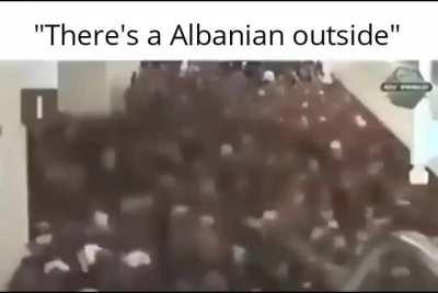 Such a interesting thing they are those Albanians