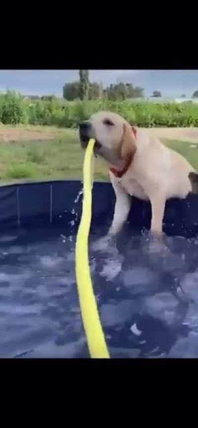 Such a graceful boy.