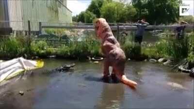 how did this alligator not shred him