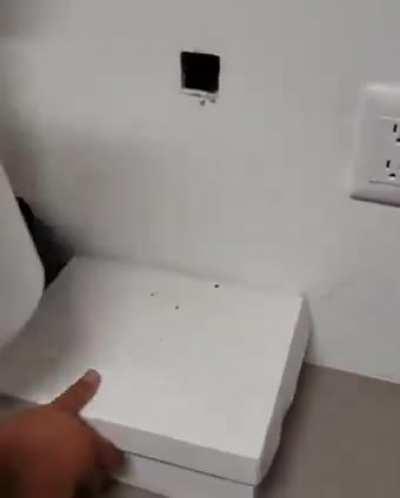 How to deal with a rat infestation using a snake