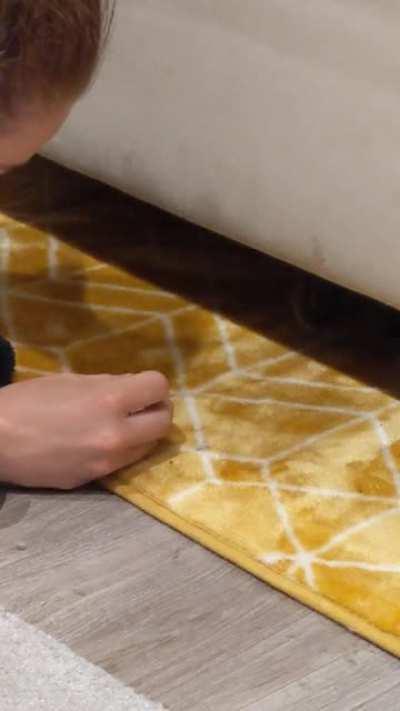 'I will only leave for mordor if you give me blueberries' said Frodo