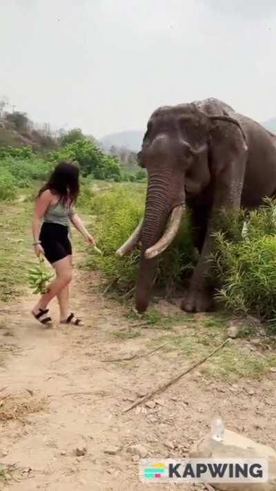 Beauty and The Beast Part 3: Fuck That Ho'