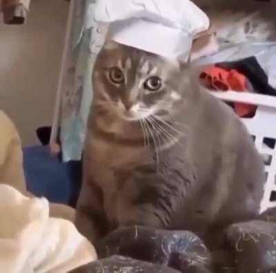 Welcome to the Bread Bank