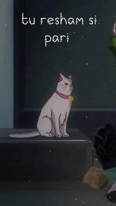 Posting wholesome shit day 5 