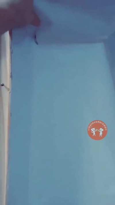 Morreria por um destes 😍