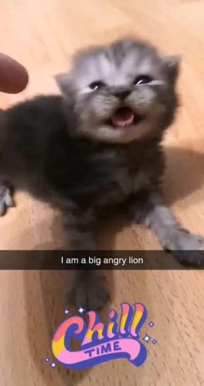 Upset because he doesn't know how to walk yet