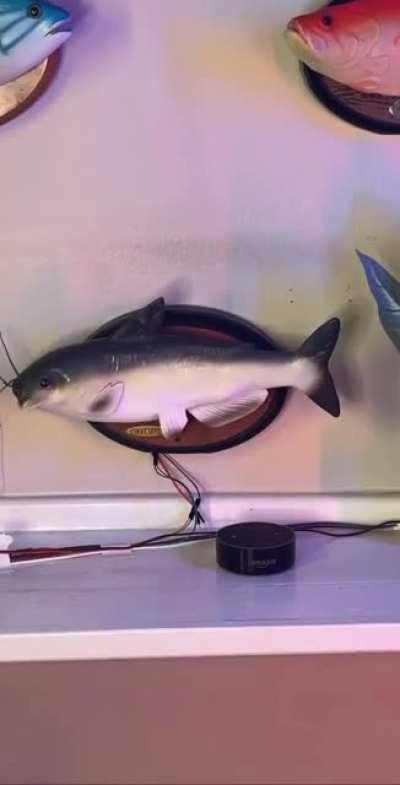 amazing invention 🤯