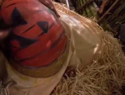 Who wants to be next smashing my orange pumkins? 🎃