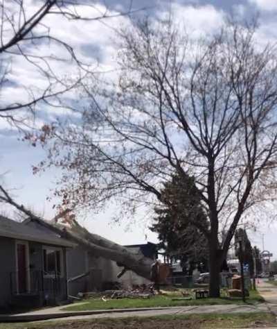 Why would this person expect a different result?