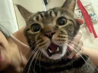 She kissed him without his consent 😦