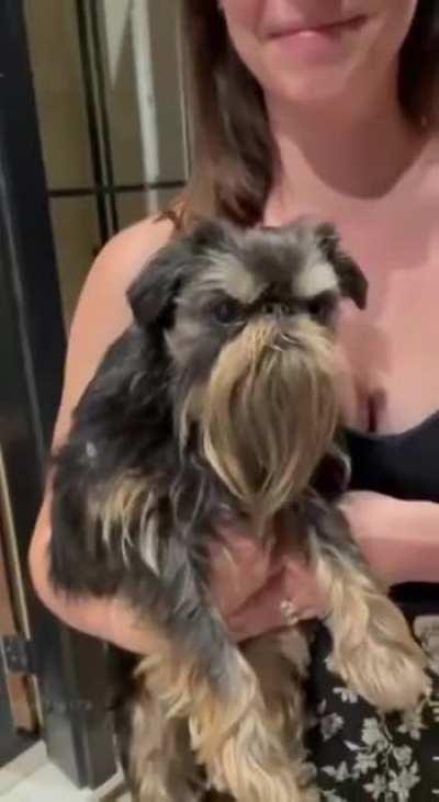 When you arrive late to your Kung Fu class and your teacher is mad