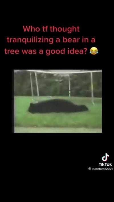 This ragdoll though 😂😂