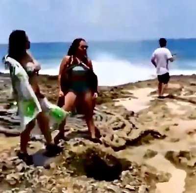 Gentle summer breeze