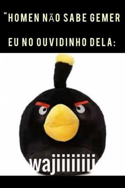 PedroDBR - Video #1228