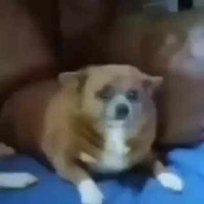 my parents yelling at me after they found the 189 gb apandah porn folder 😭😭😭