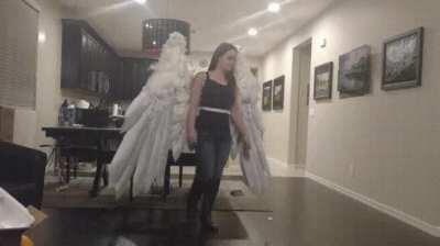 coolest thing I’ve seen all day