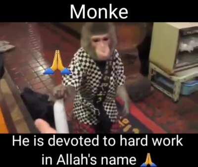 Monke 🙏 gang weed nigga porn 🇹🇷🇹🇷 النُطَف المَنَويّة 🇹🇷❤🇧🇷