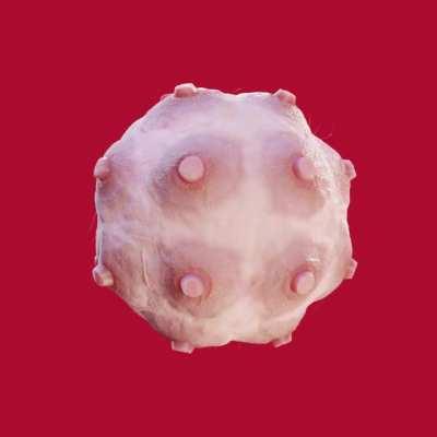 Uh... I made a procedural nipple shader.