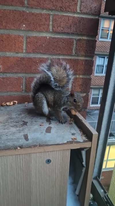 Gooooood morning rainshine.