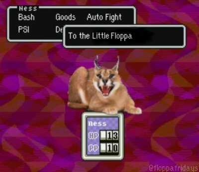 Battle against a floppy enemy