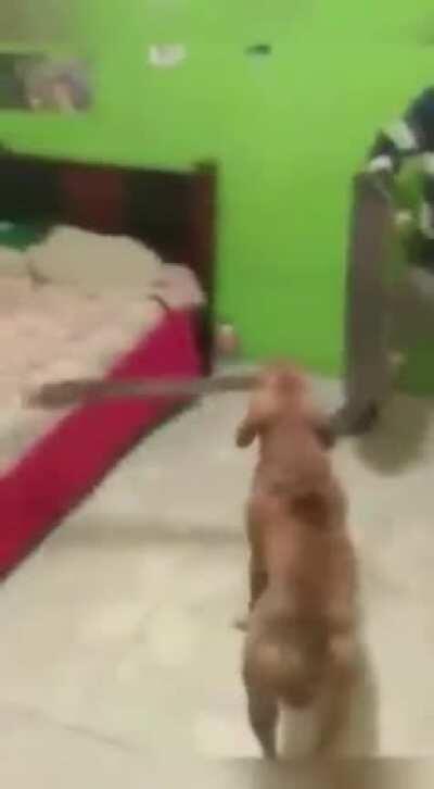 He’s got a blade and he’s gonna use it