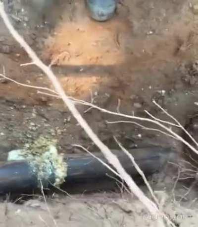 WCGW if I film my buddy cutting open a sewage line?