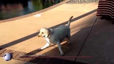 Spinnor bane of all warriors