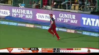 Which one is the best IPL catch of all time?