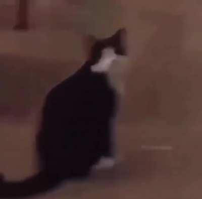 Sounds video gamish i guess?