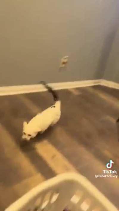 Won’t be doing that again…