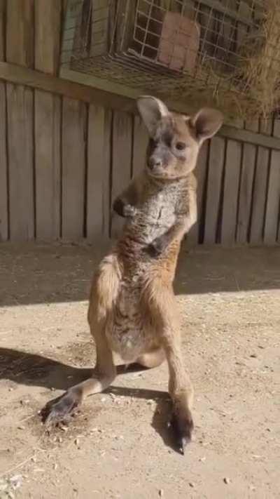 Забавный малыш