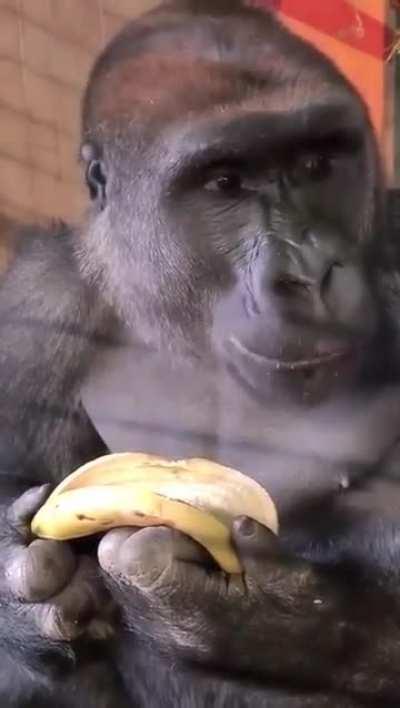 How To Eat Banana Tutorial by Expert🤓