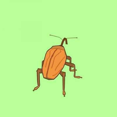 I made a 3D model of a weevil and heard he would be right at home here!